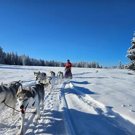 Vent_du_nord * Tramelan